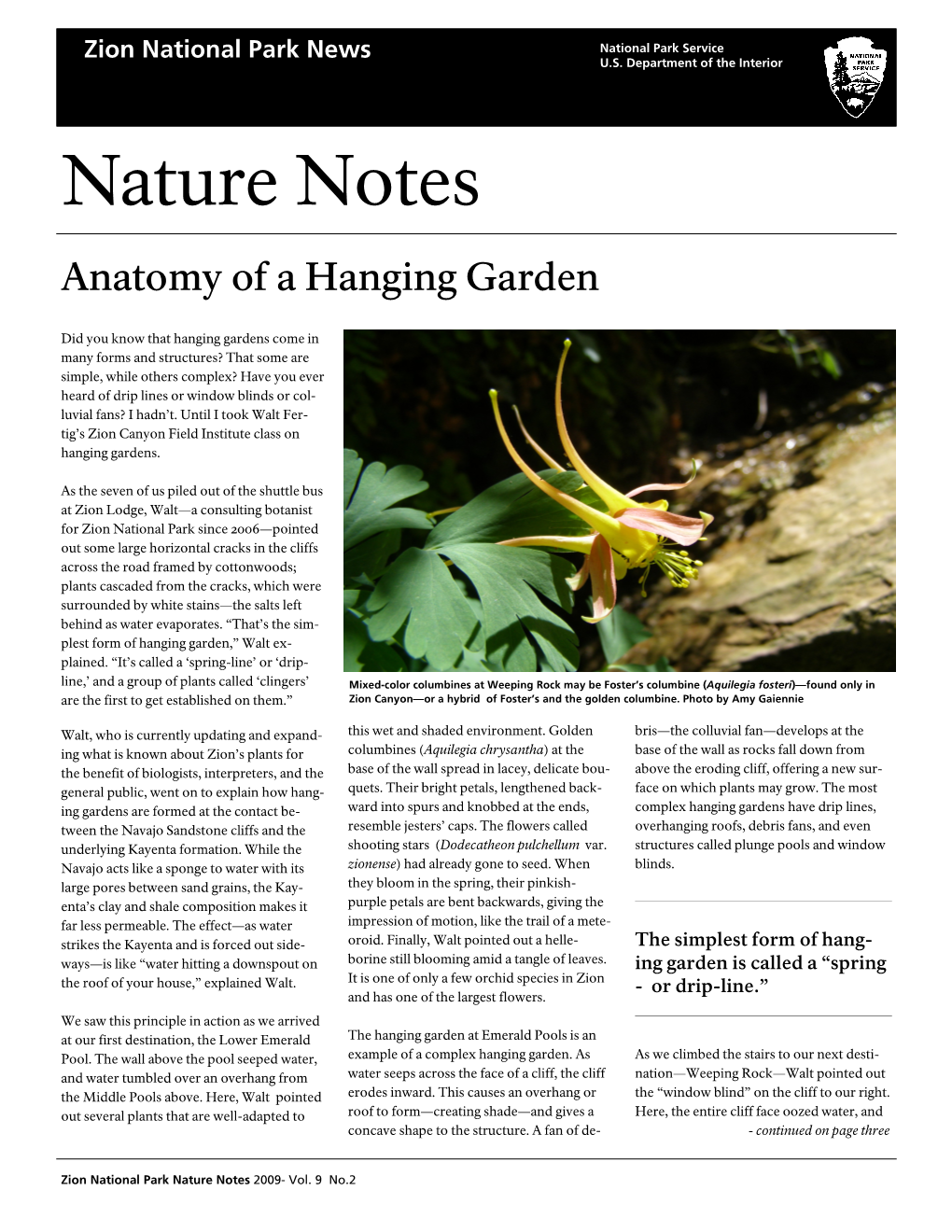 Nature Notes Anatomy of a Hanging Garden