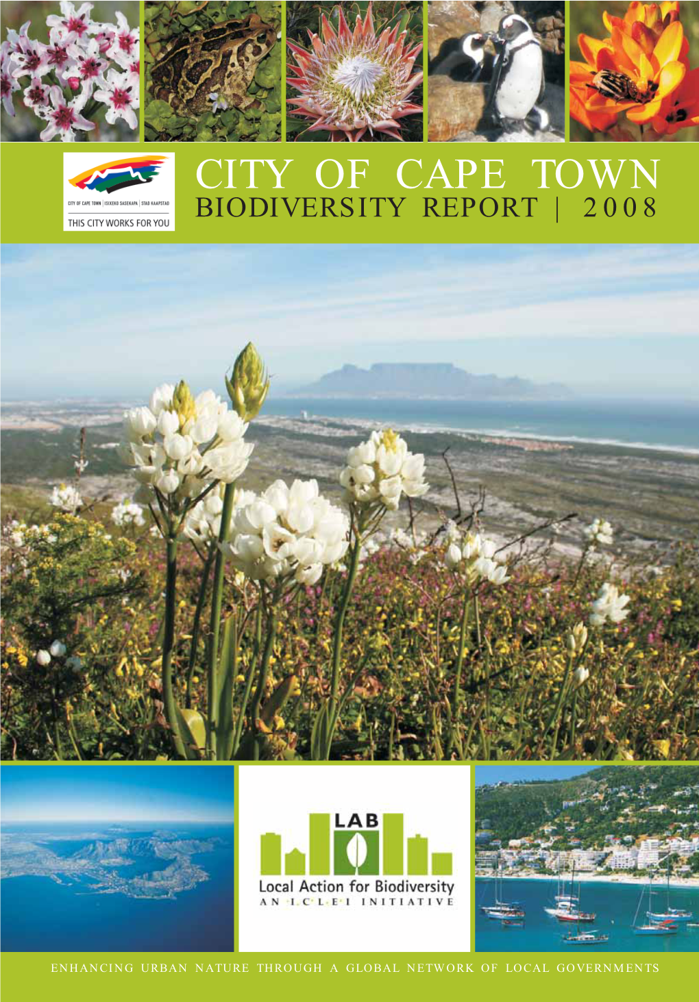 City of Cape Town