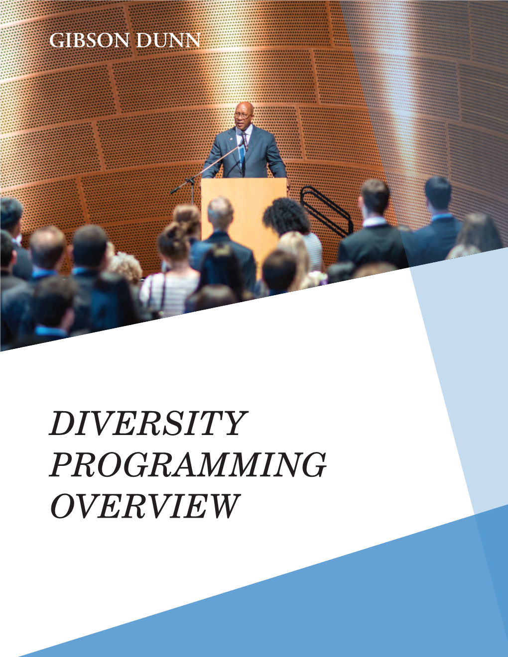 Diversity Programming Overview Diversity Programming