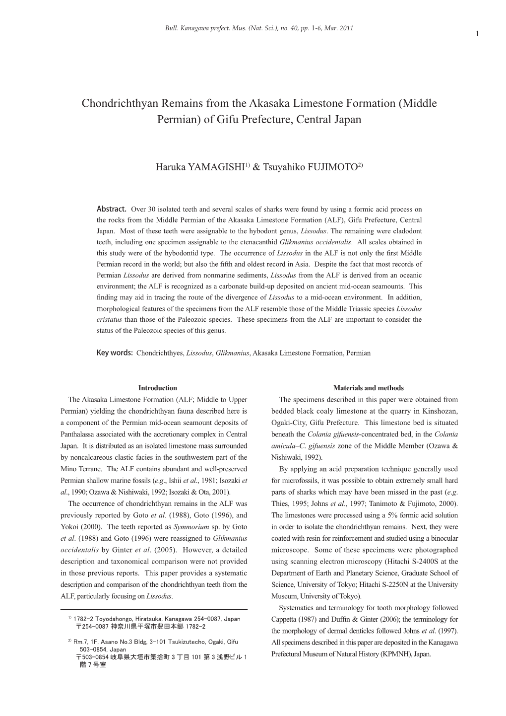 H. Yamagishi & T. Fujimoto: Chondrichthyes from the Akasaka