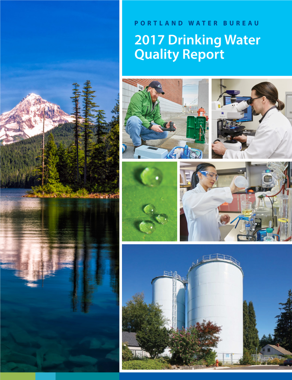 2017 Drinking Water Quality Report Portland’S Water System Established 1895