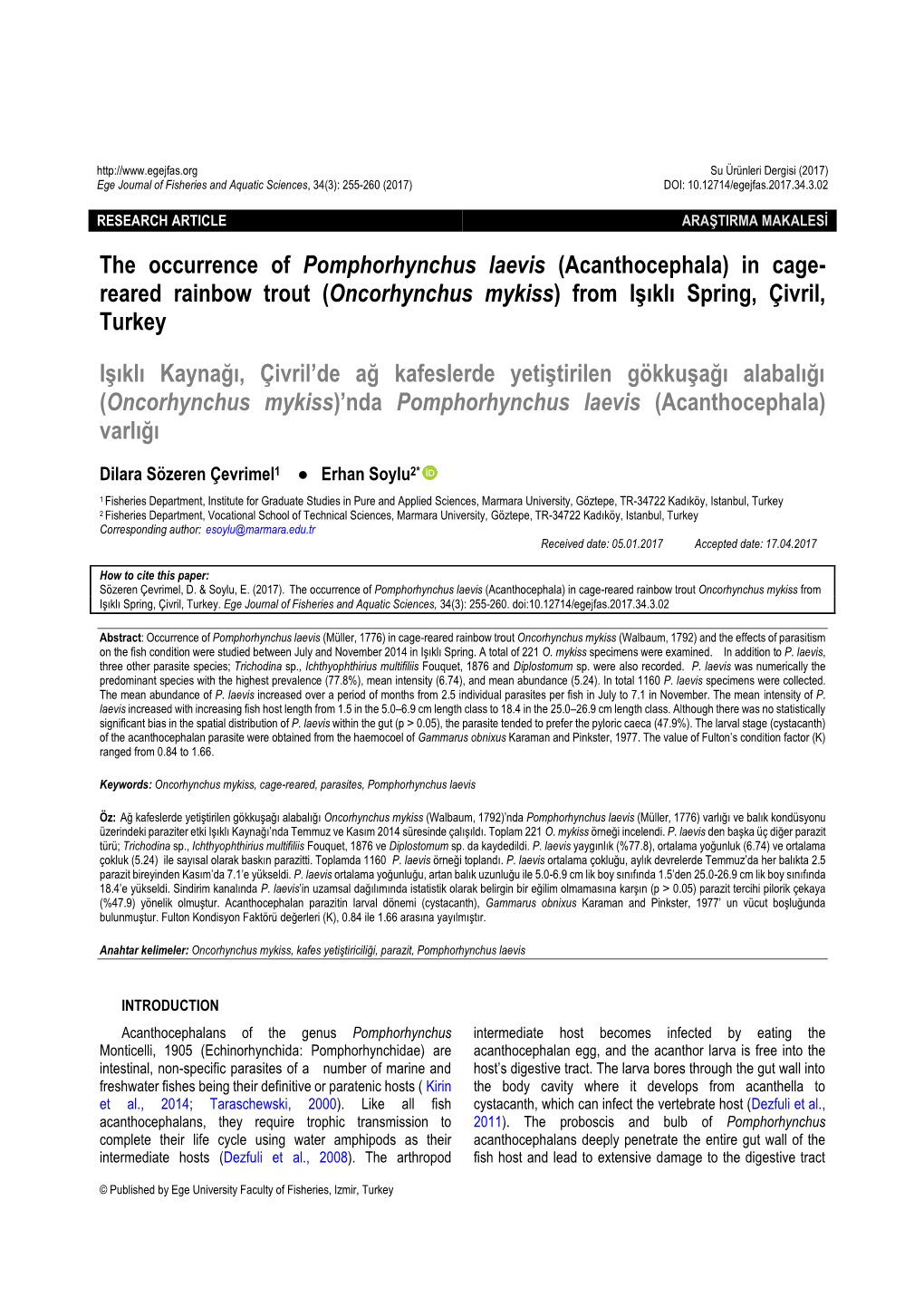 The Occurrence of Pomphorhynchus Laevis (Acanthocephala) in Cage- Reared Rainbow Trout (Oncorhynchus Mykiss) from Işıklı Spring, Çivril, Turkey