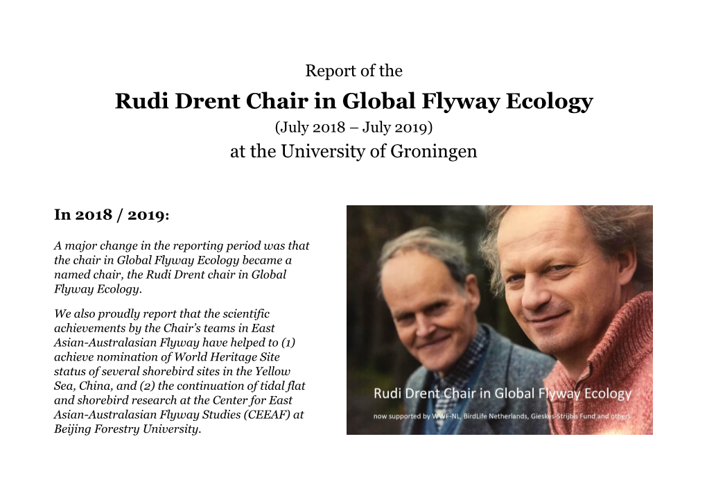 Report of the Rudi Drent Chair in Global Flyway Ecology (July 2018 – July 2019) at the University of Groningen
