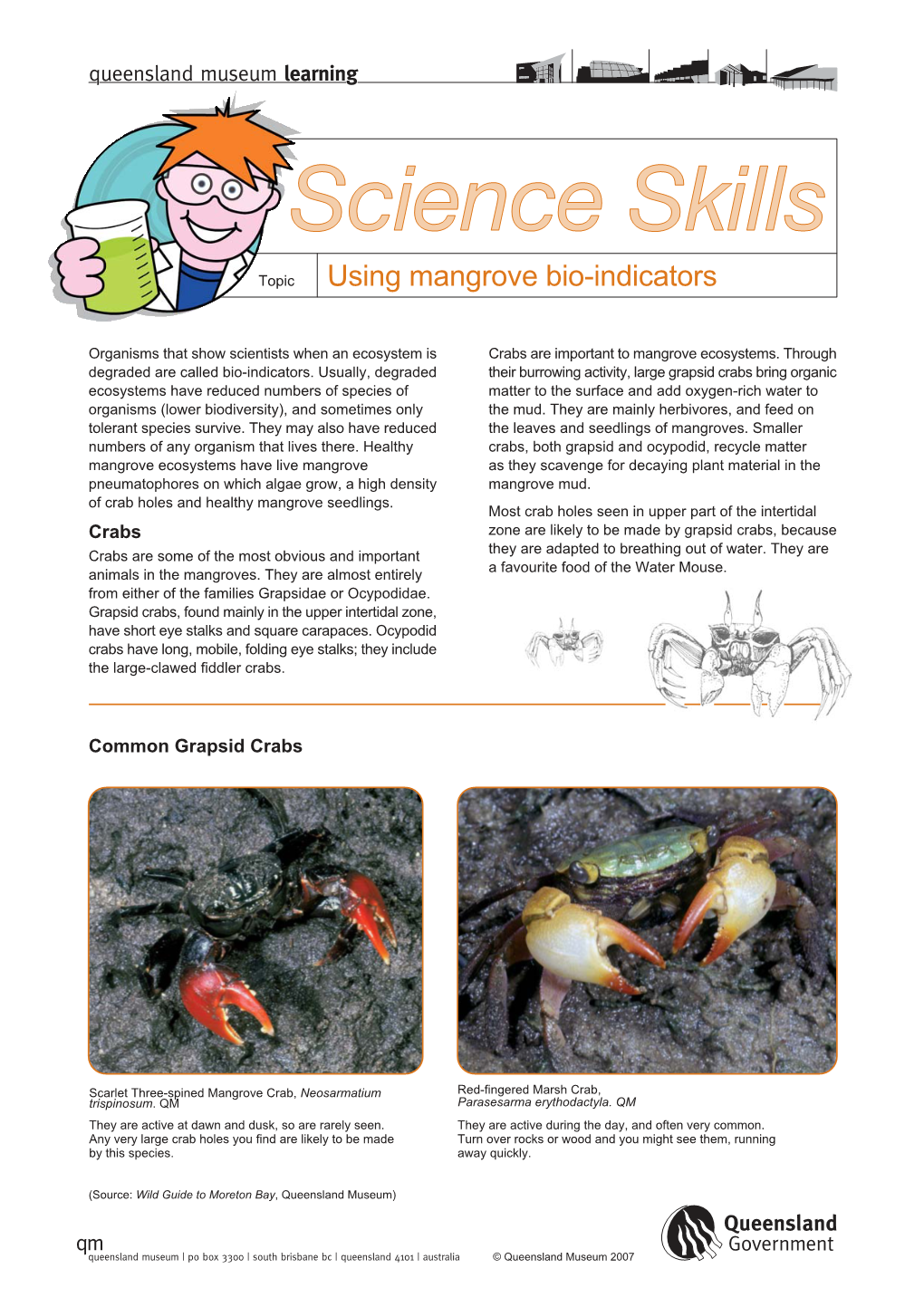 Using Mangrove Bio-Indicators