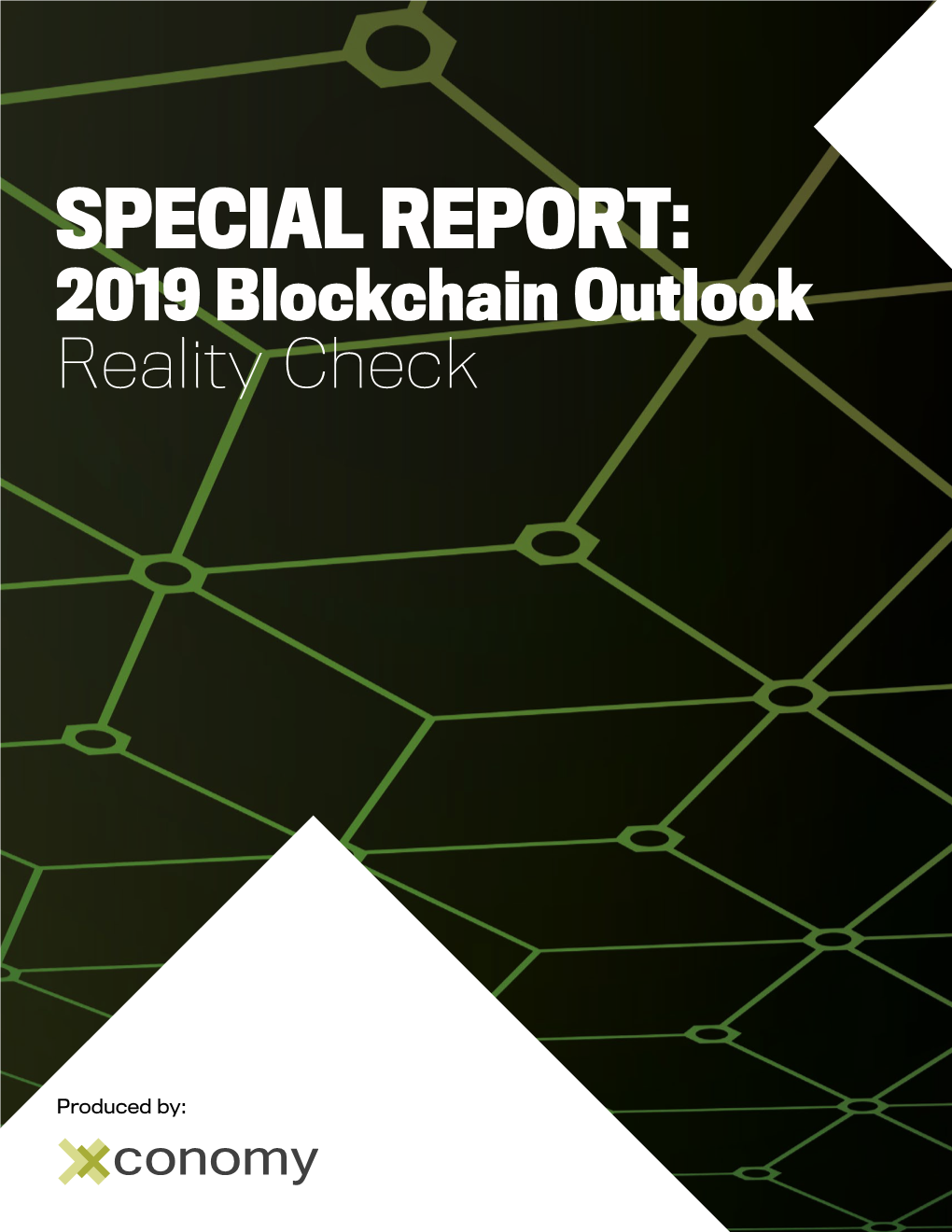 SPECIAL REPORT: 2019 Blockchain Outlook Reality Check