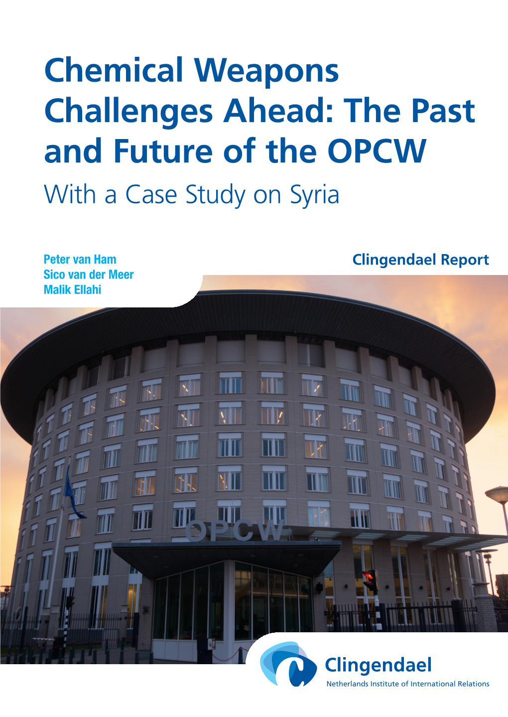 Chemical Weapons Challenges Ahead: the Past and Future of the OPCW with a Case Study on Syria