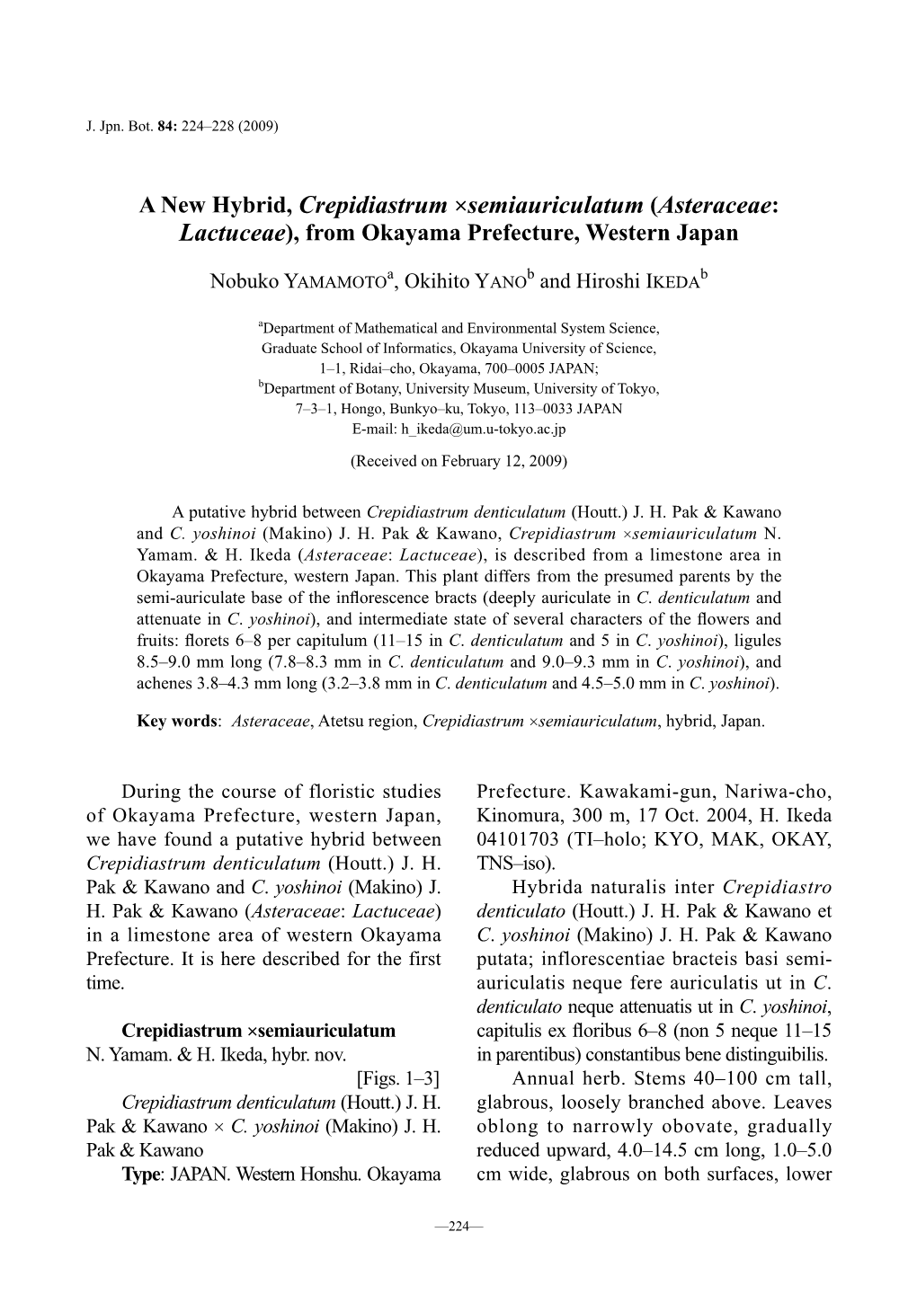 A New Hybrid, Crepidiastrum ×Semiauriculatum (Asteraceae: Lactuceae), from Okayama Prefecture, Western Japan