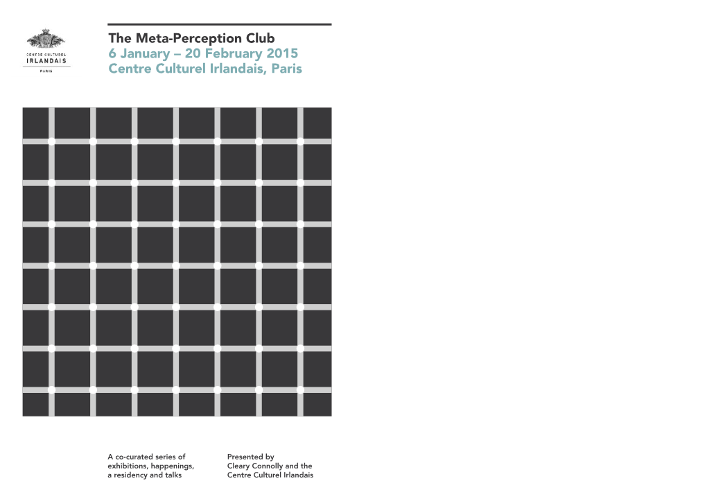 The Meta-Perception Club 6 January – 20 February 2015 Centre Culturel Irlandais, Paris