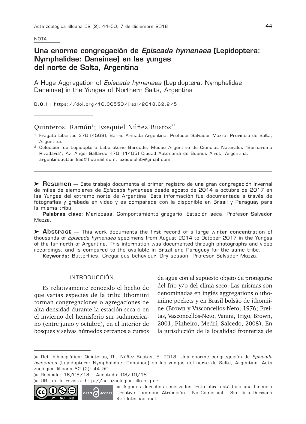 Una Enorme Congregación De Episcada Hymenaea (Lepidoptera: Nymphalidae: Danainae) En Las Yungas Del Norte De Salta, Argentina