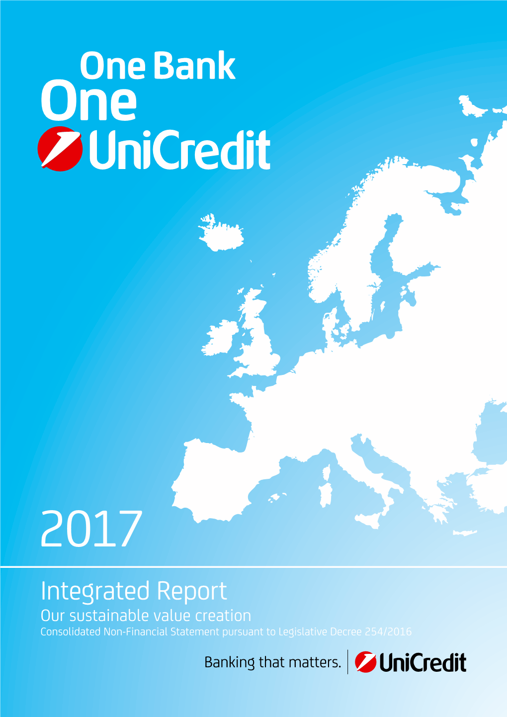 Integrated Report 2017 Integrated Report