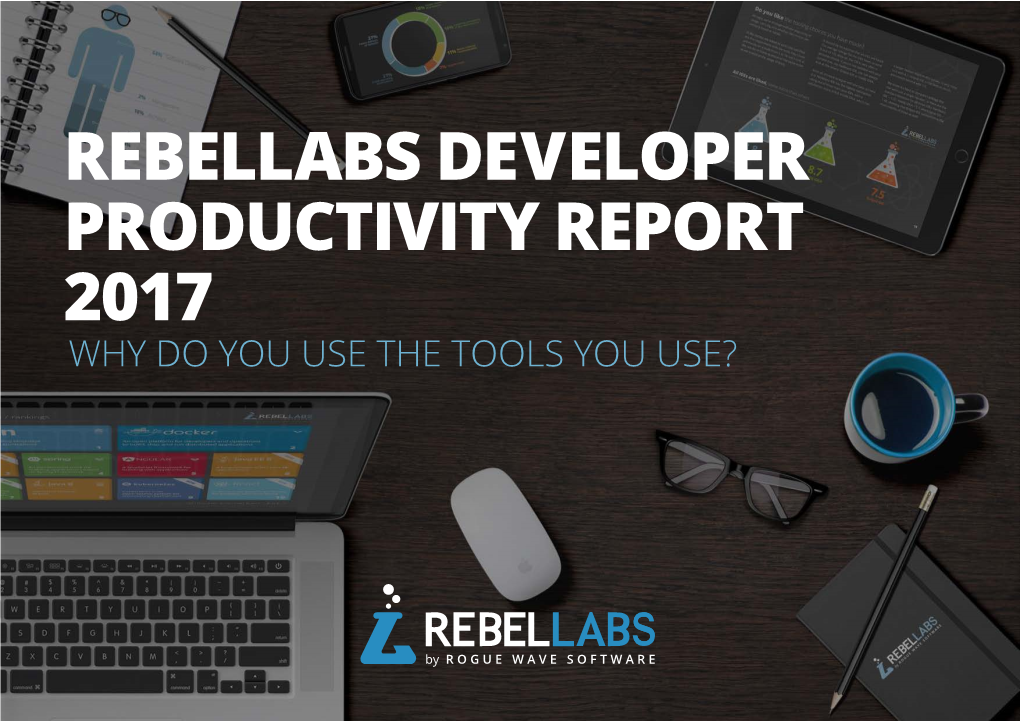 Rebellabs Developer Productivity Report 2017 Why Do You Use the Tools You Use?