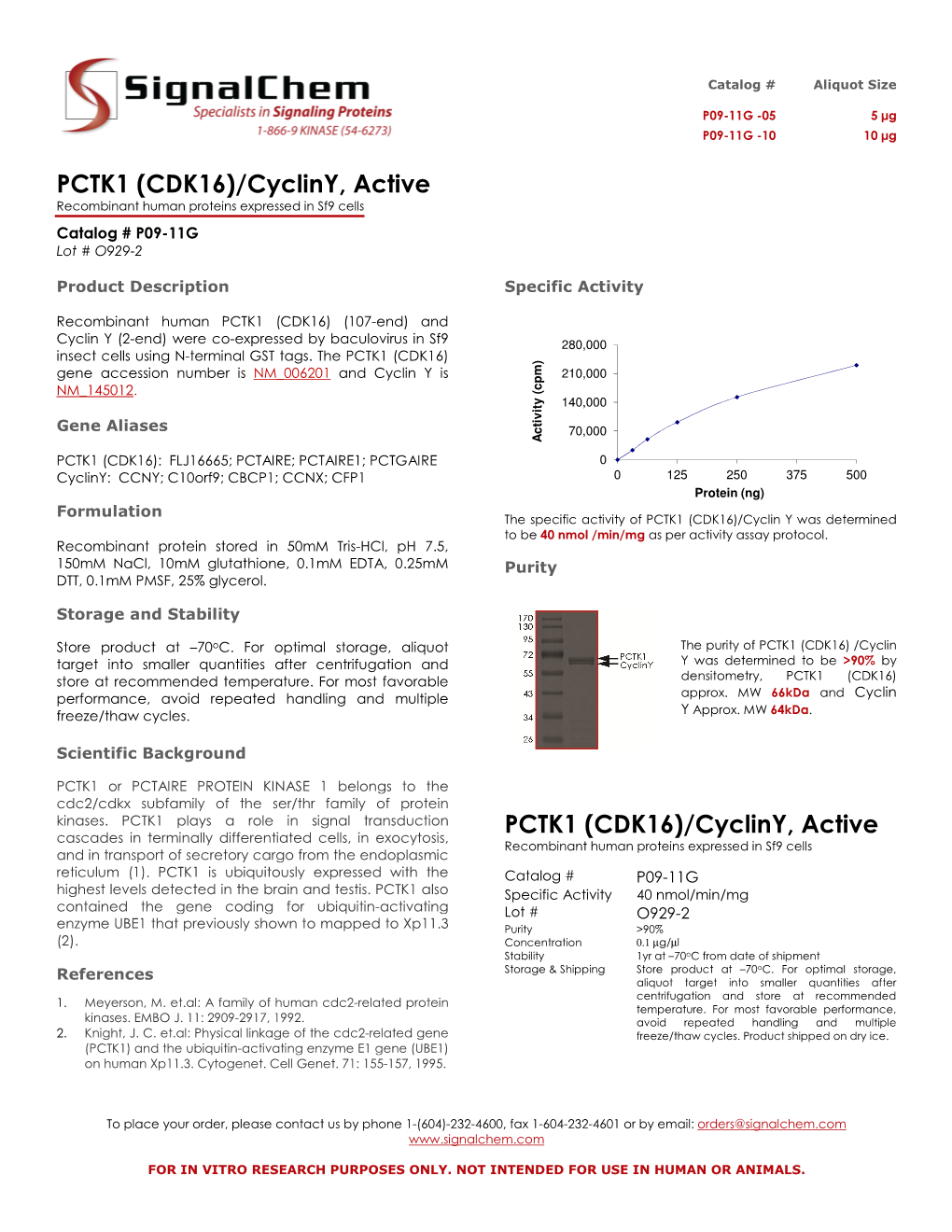 PCTK1 (CDK16)/Cycliny, Active Recombinant Human Proteins Expressed in Sf9 Cells