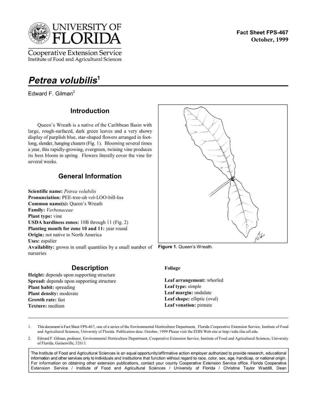 Petrea Volubilis1