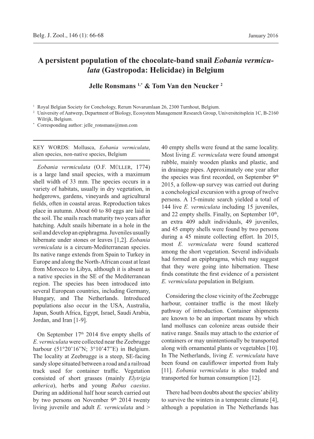 A Persistent Population of the Chocolate-Band Snail Eobania Vermicu- Lata (Gastropoda: Helicidae) in Belgium