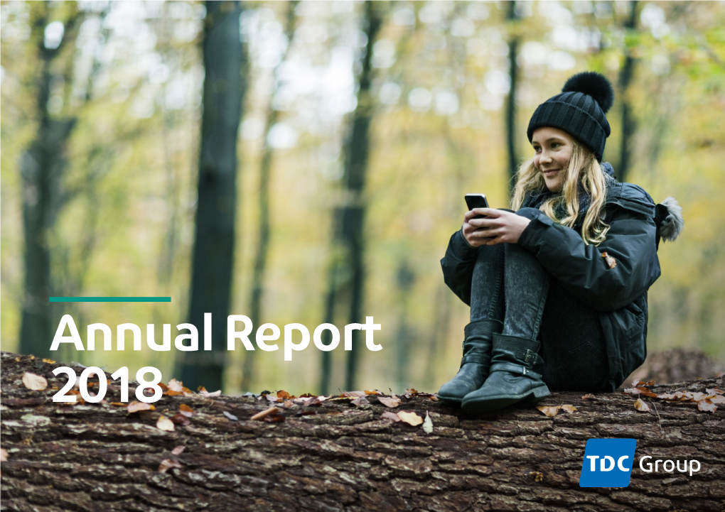 TDC Annual Report 2018