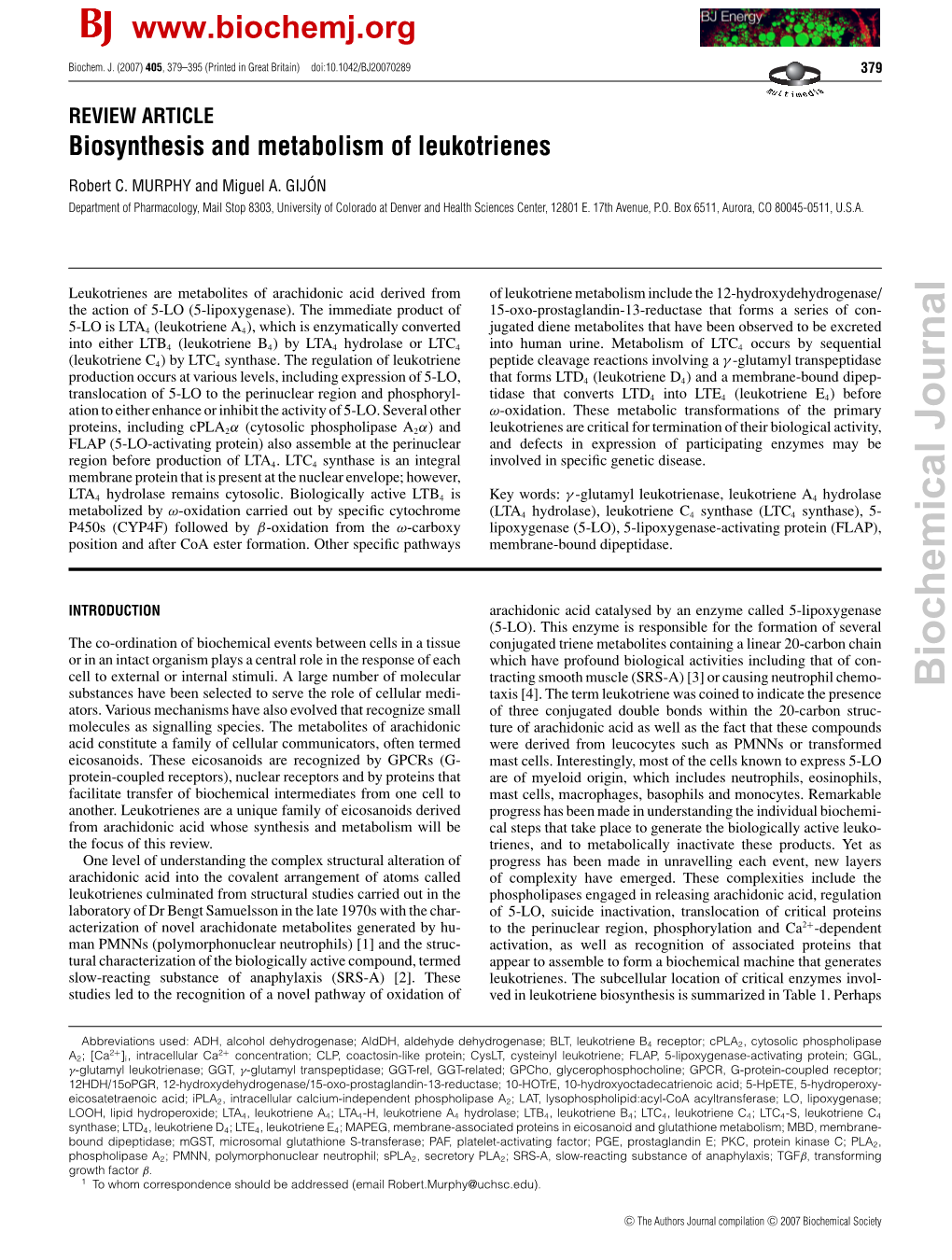 Biosynthesis and Metabolism of Leukotrienes
