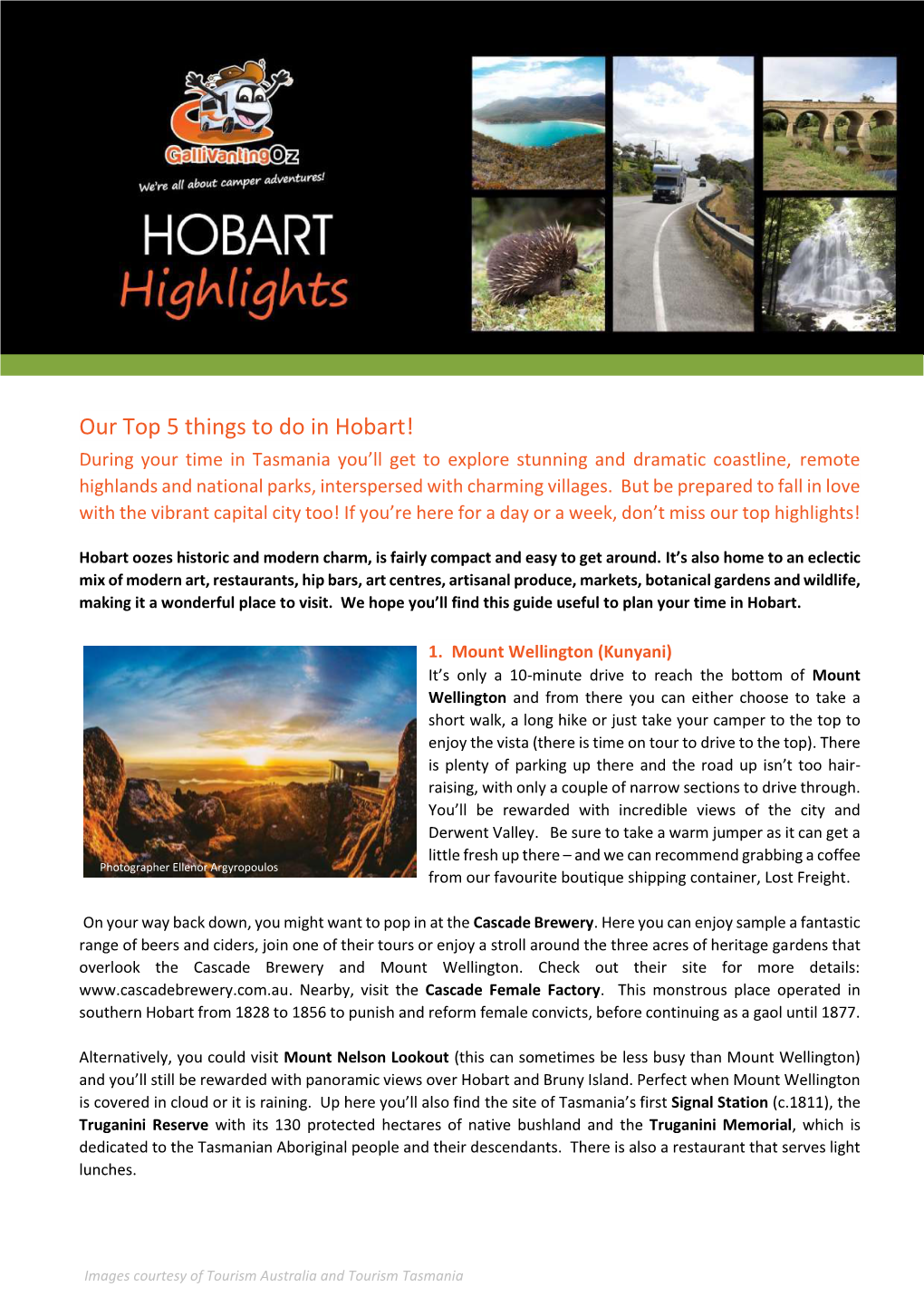 Our Top 5 Things to Do in Hobart!
