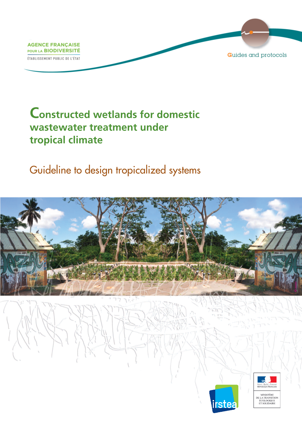 Constructed Wetlands for Domestic Wastewater Treatment Under Tropical Climate