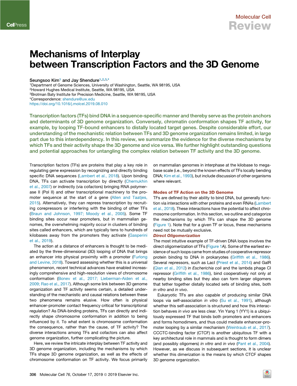 Mechanisms of Interplay Between Transcription Factors and the 3D Genome