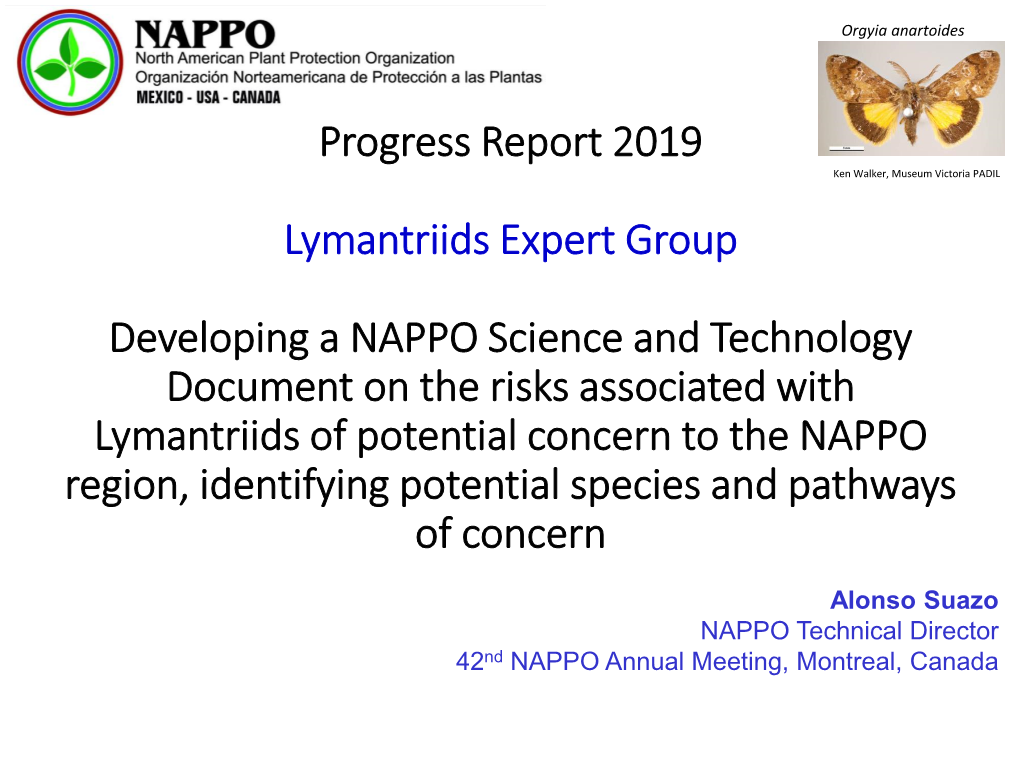 Progress Report 2019 Lymantriids Expert Group Developing A