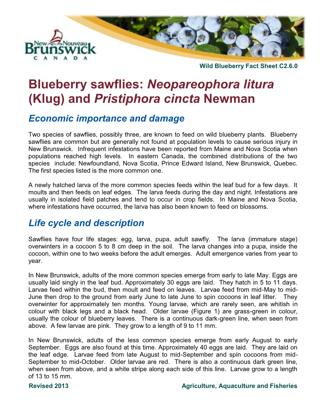 Blueberry Sawflies: Neopareophora Litura (Klug) and Pristiphora Cincta Newman