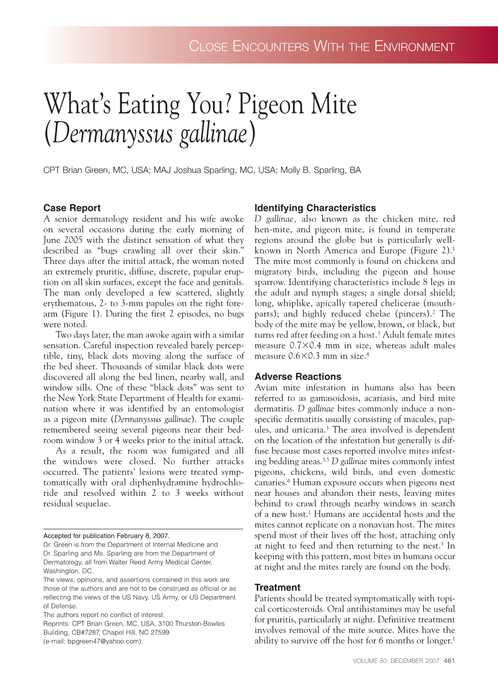 Pigeon Mite (Dermanyssus Gallinae)