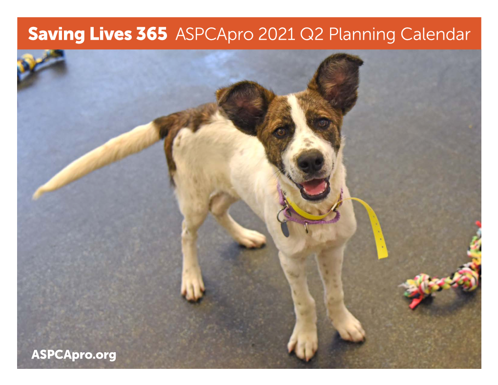 Saving Lives 365 Aspcapro 2021 Q2 Planning Calendar