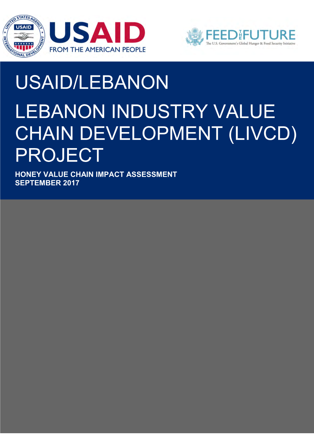 Usaid/Lebanon Lebanon Industry Value Chain Development (Livcd)