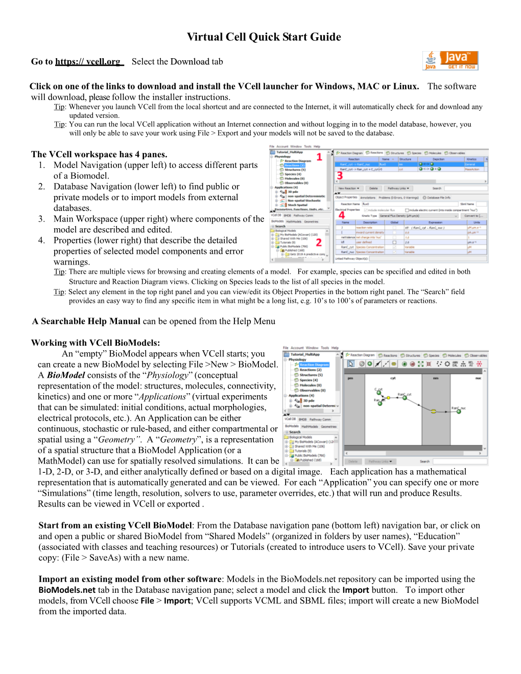 Virtual Cell Quick Start Guide