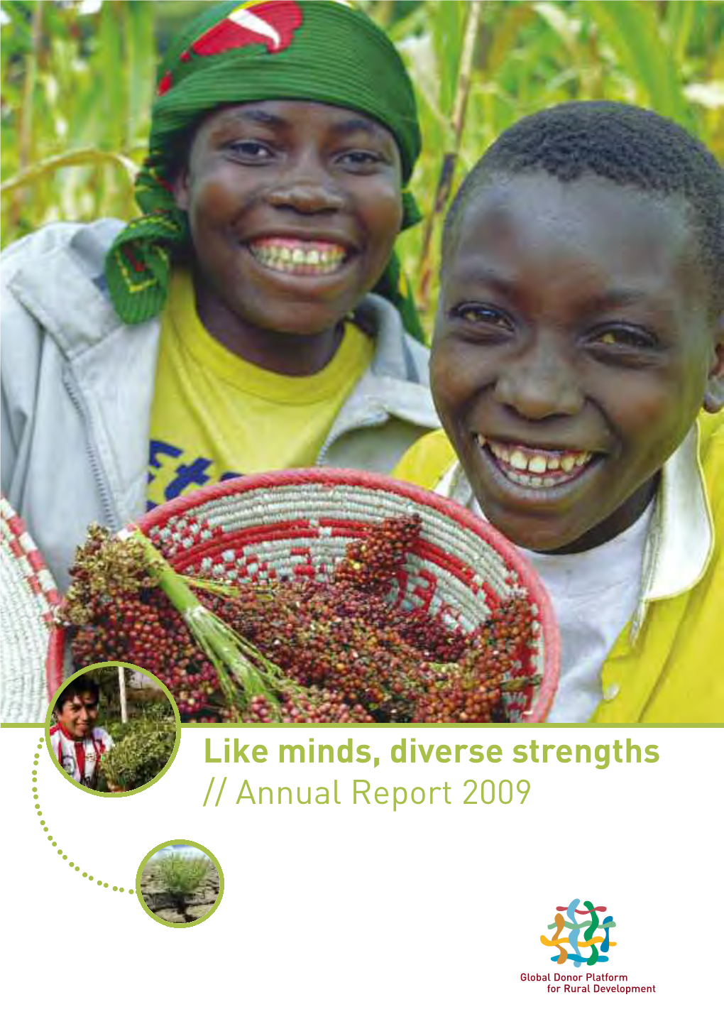 Platform-2009-Annual-Report