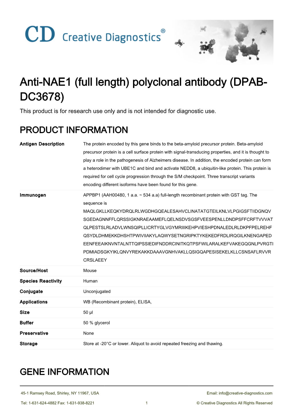 Anti-NAE1 (Full Length) Polyclonal Antibody (DPAB- DC3678) This Product Is for Research Use Only and Is Not Intended for Diagnostic Use