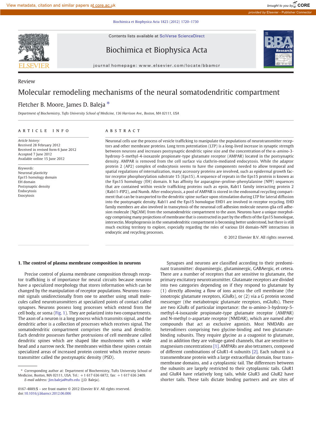 Molecular Remodeling Mechanisms of the Neural Somatodendritic Compartment