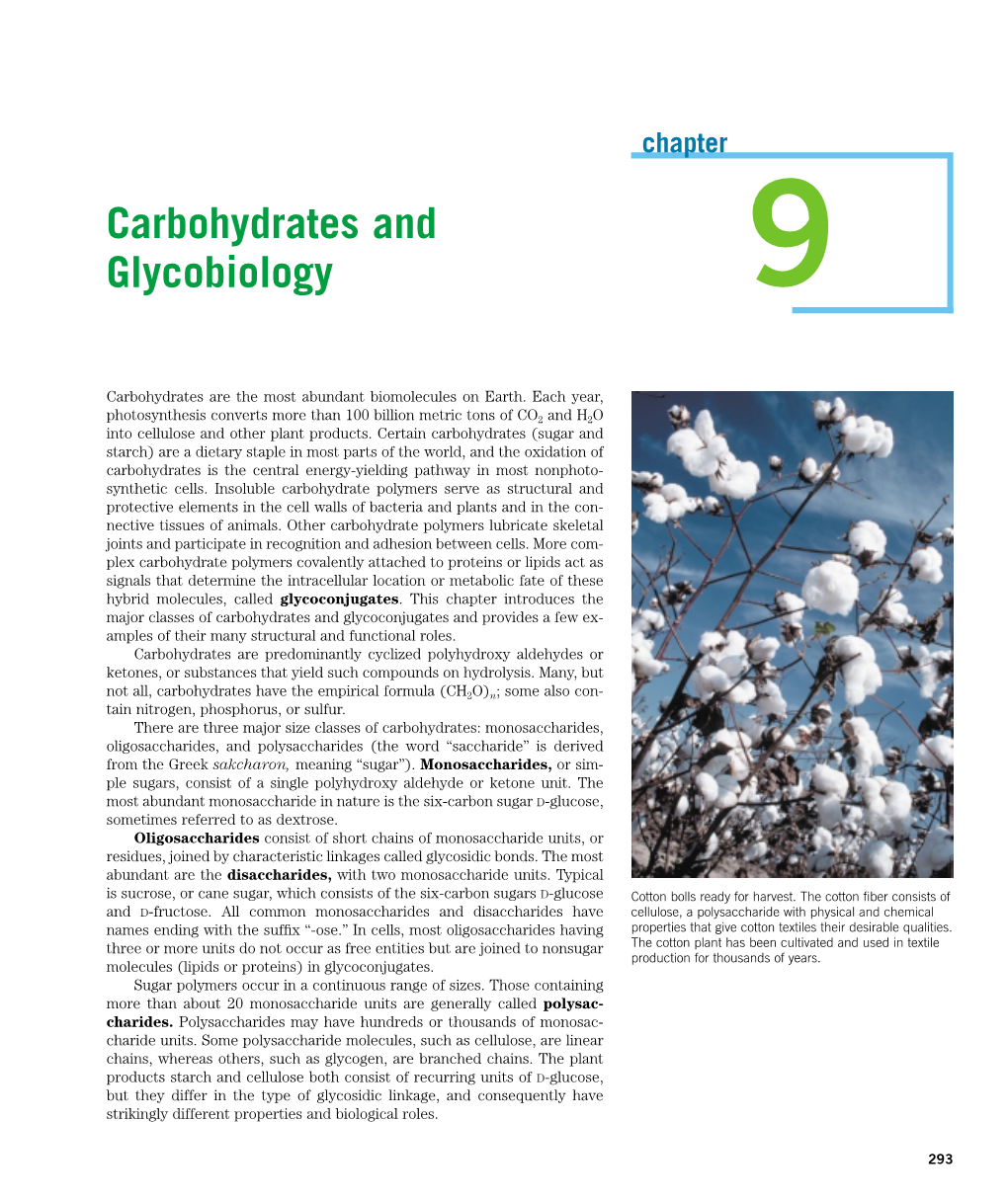 Carbohydrates and Glycobiology 9