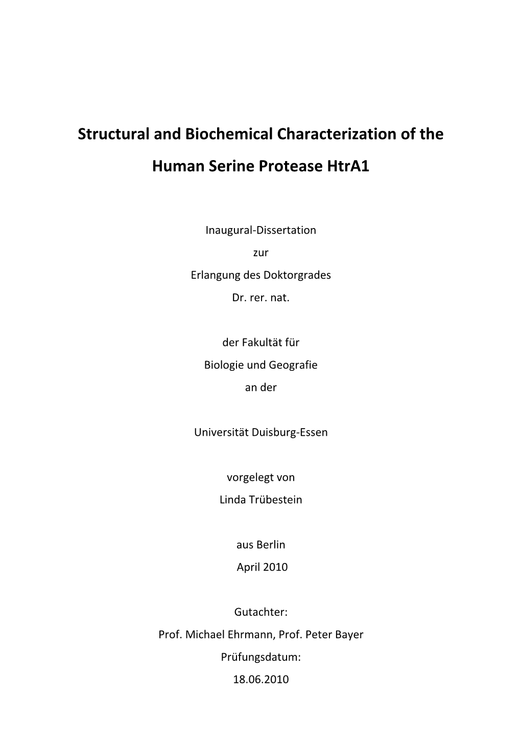 Dissertation Truebestein Final