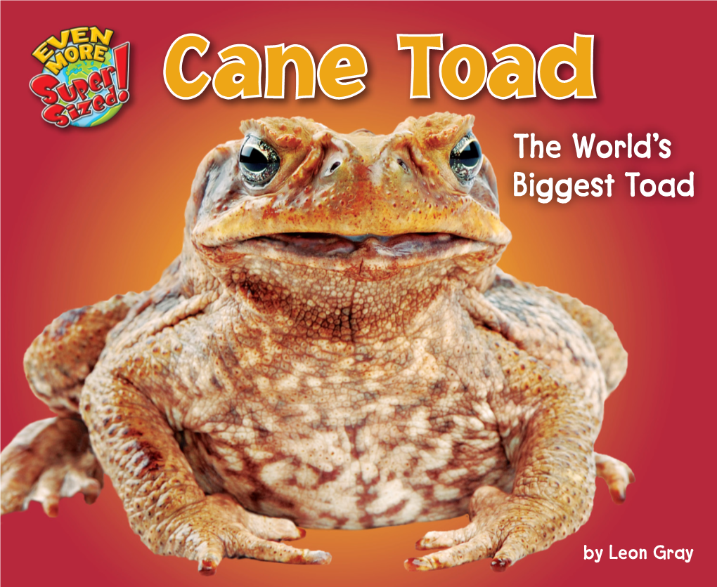 The World's Biggest Toad