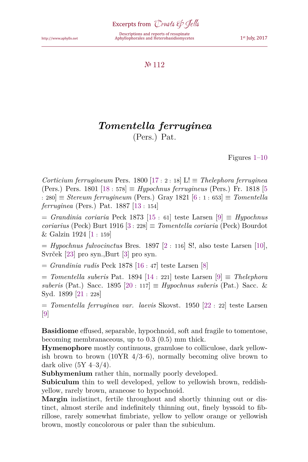 Tomentella Ferruginea (Pers.) Pat