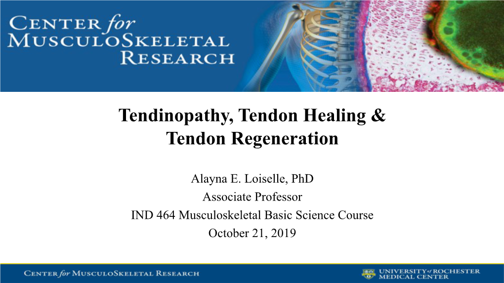 Tendon Pathology & Regeneration 2019