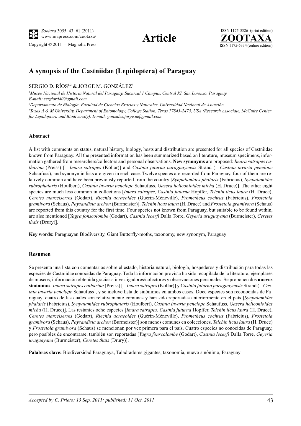 A Synopsis of the Castniidae (Lepidoptera) of Paraguay