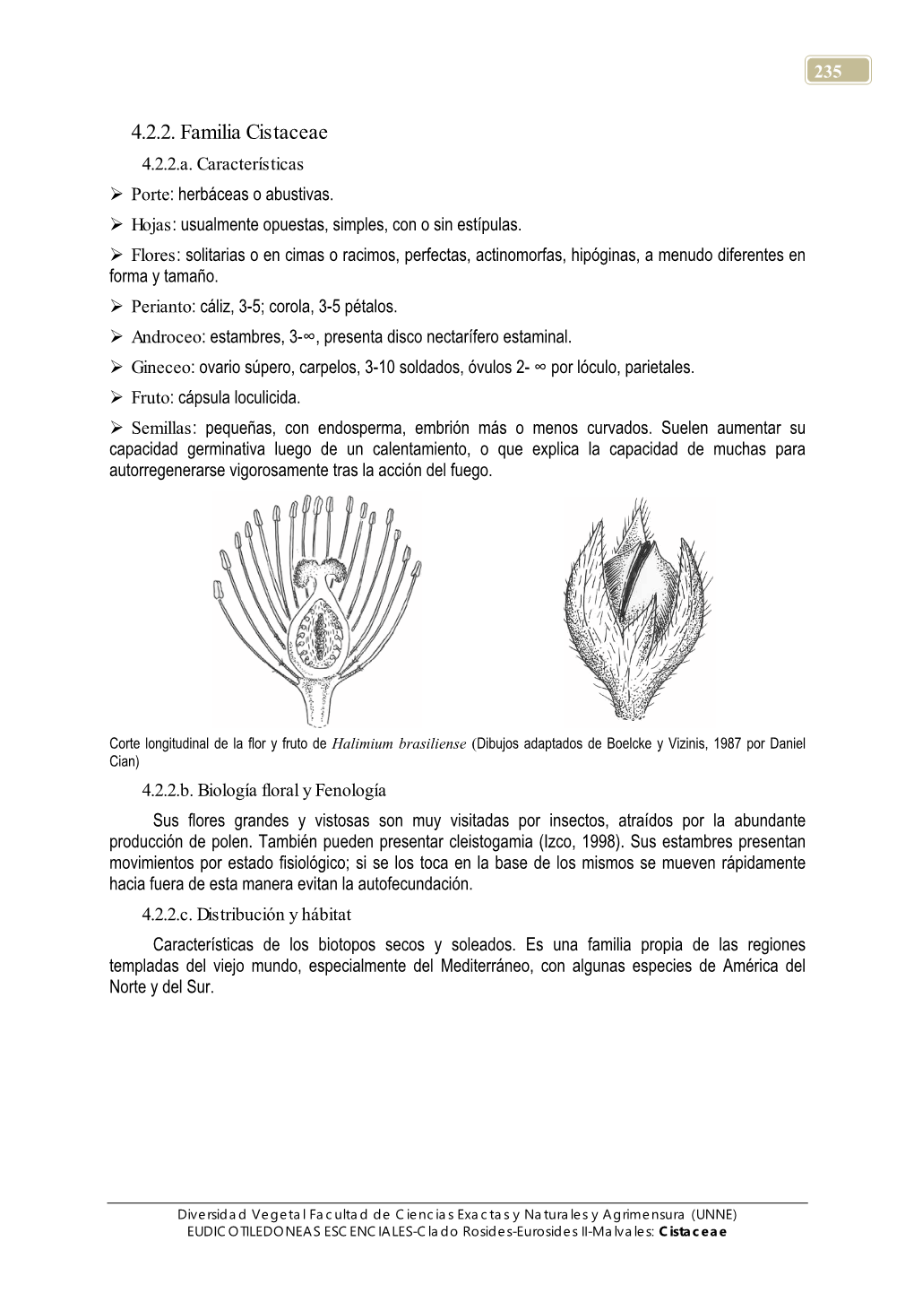 4.2.2. Familia Cistaceae 4.2.2.A