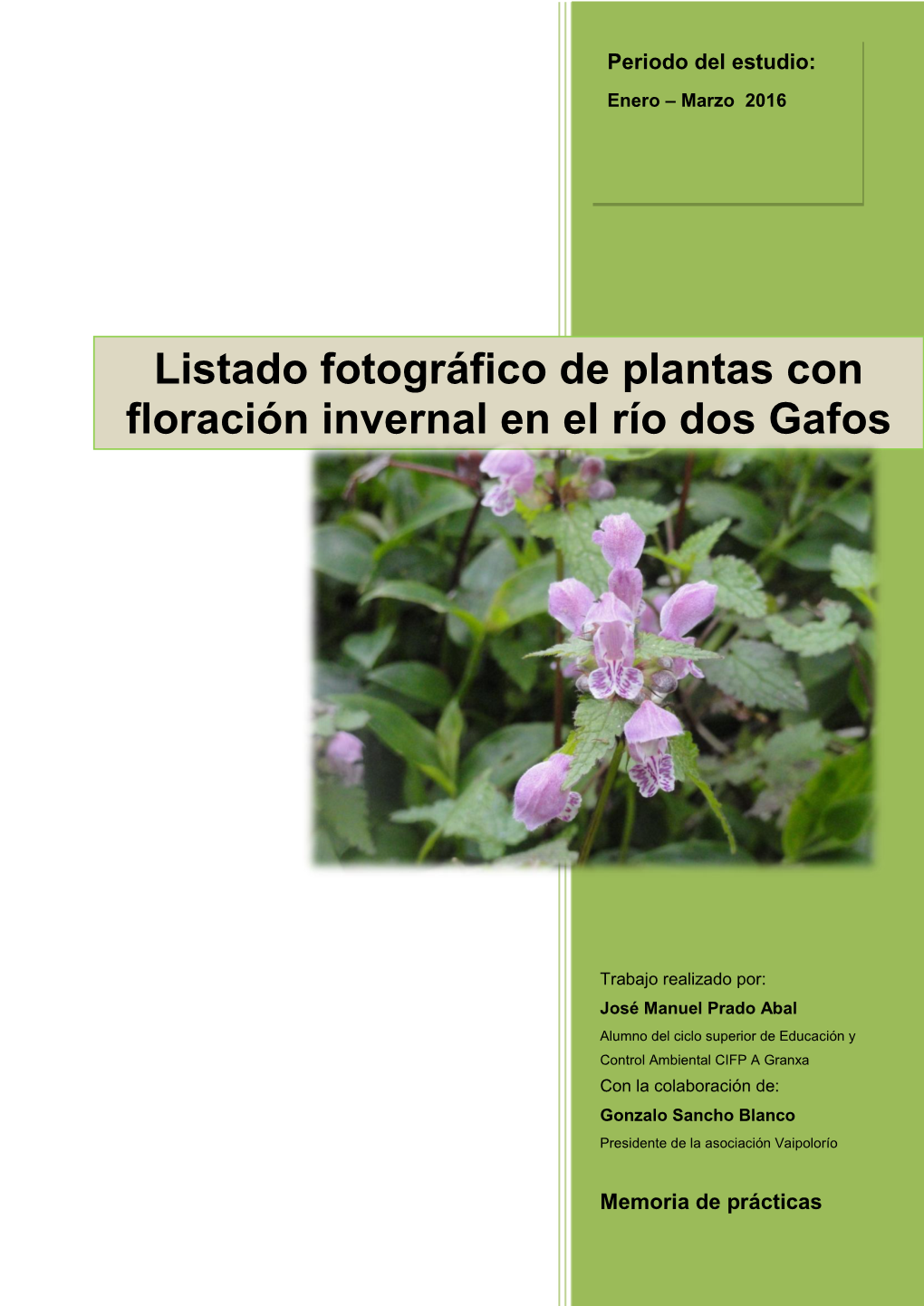 Listado Fotográfico De Plantas Con Floración Invernal En El Río Dos Gafos