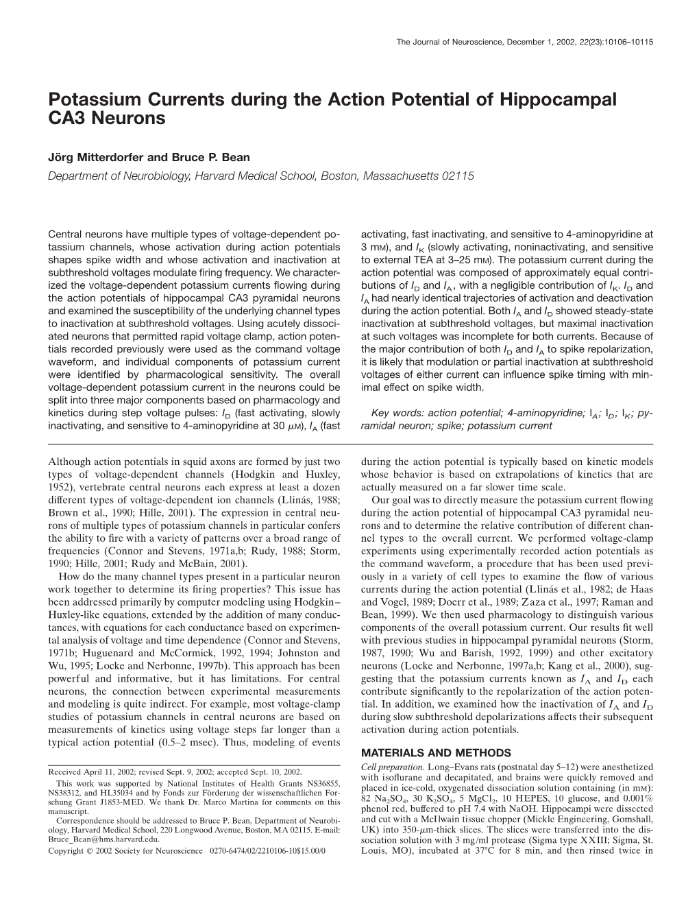 Potassium Currents During the Action Potential of Hippocampal CA3 Neurons