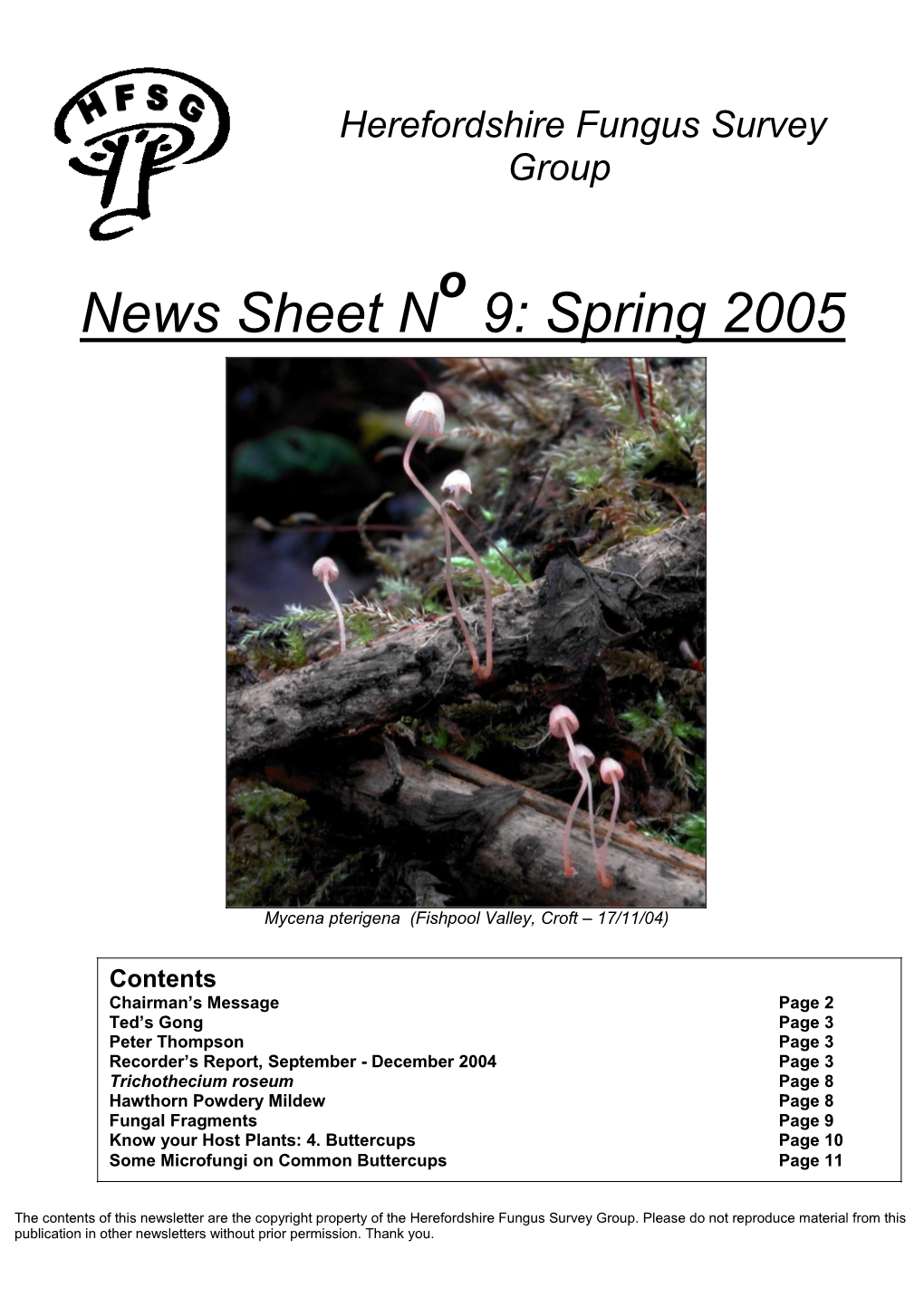 News Sheet N 9: Spring 2005