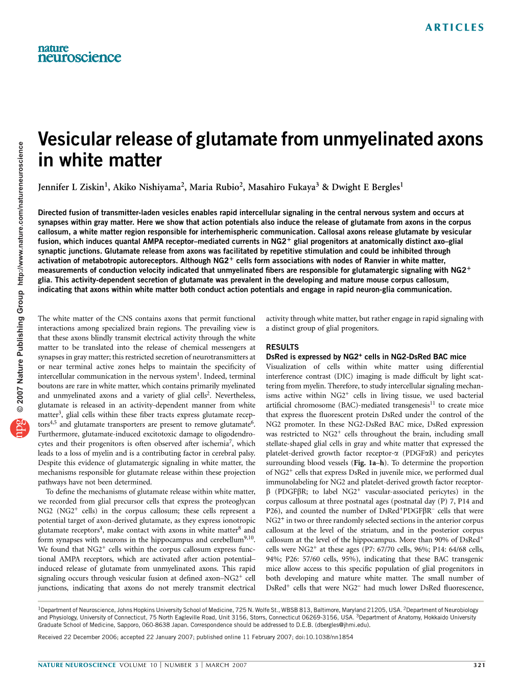 Vesicular Release of Glutamate from Unmyelinated Axons in White Matter