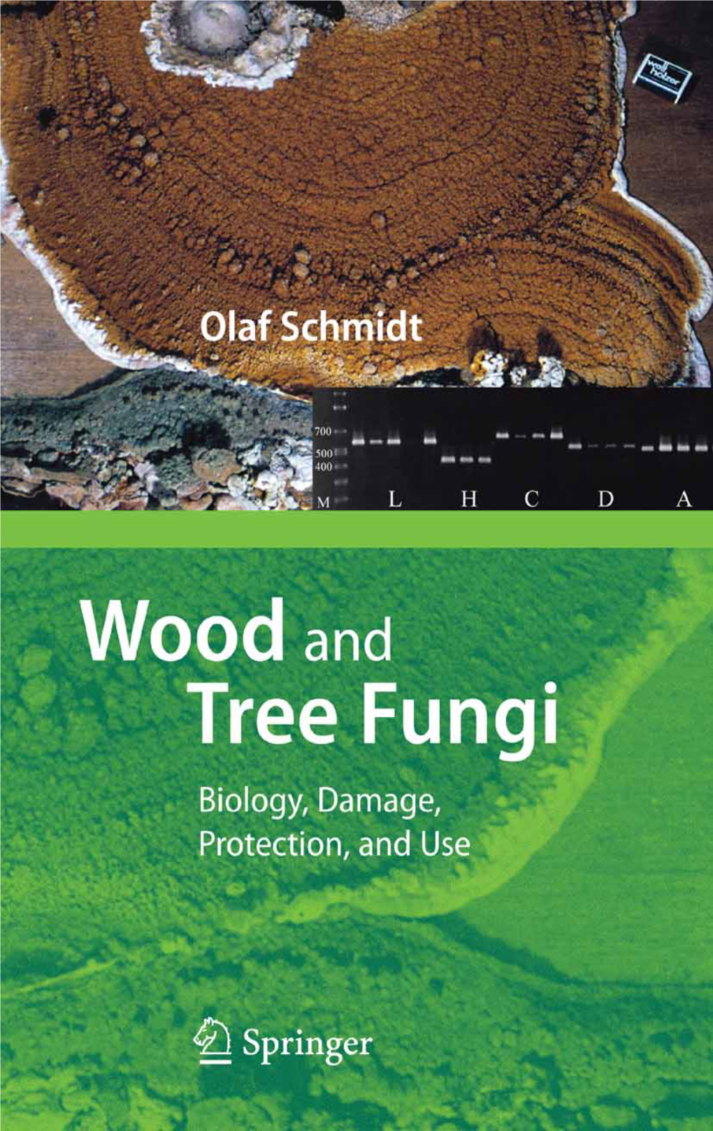 Wood and Tree Fungi Biology, Damage, Protection, and Use