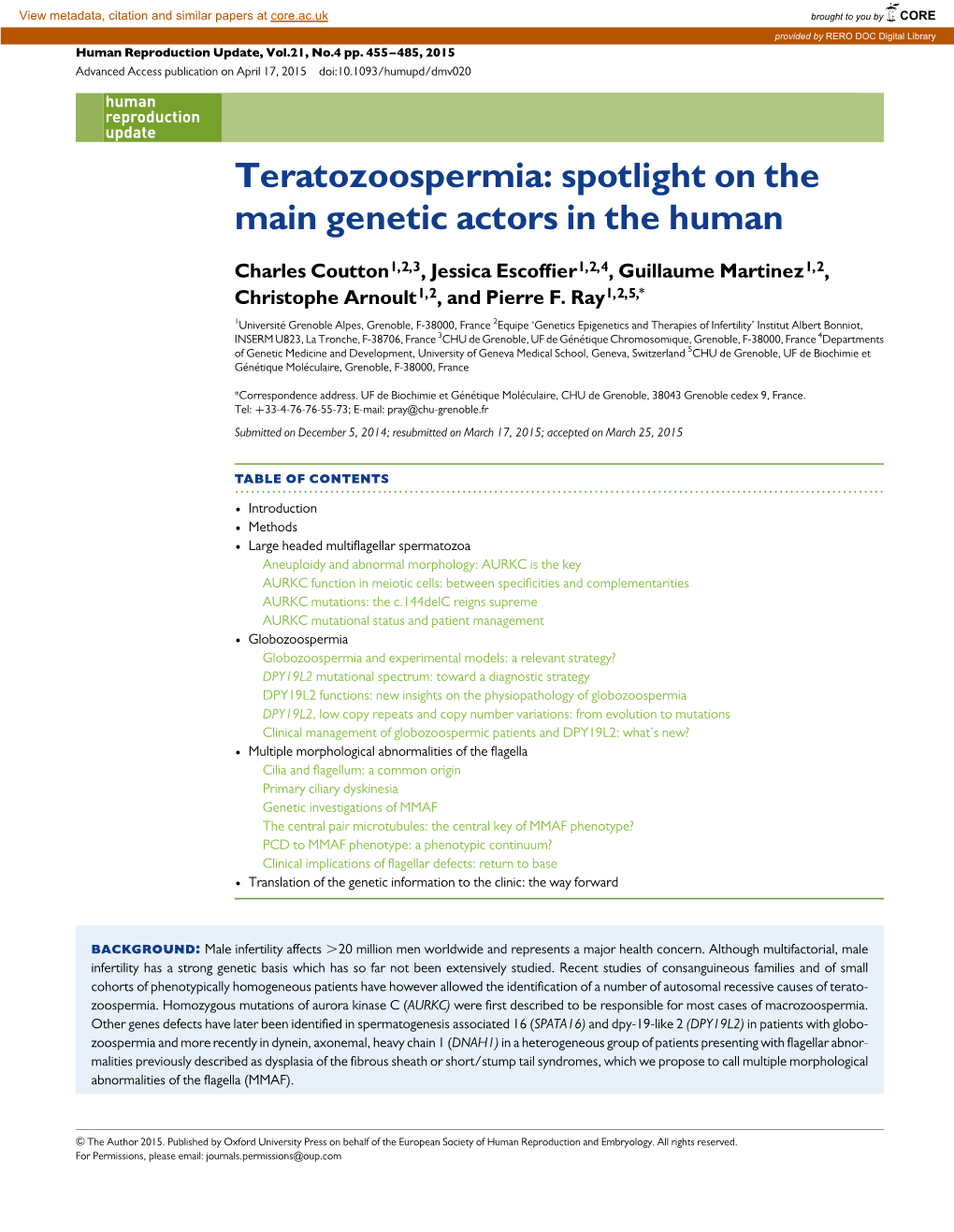 Teratozoospermia: Spotlight on the Main Genetic Actors in the Human