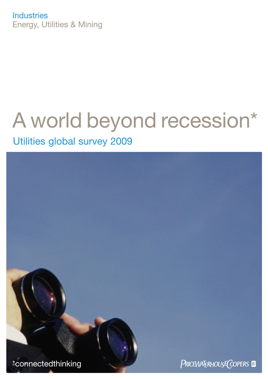 A World Beyond Recession* Utilities Global Survey 2009