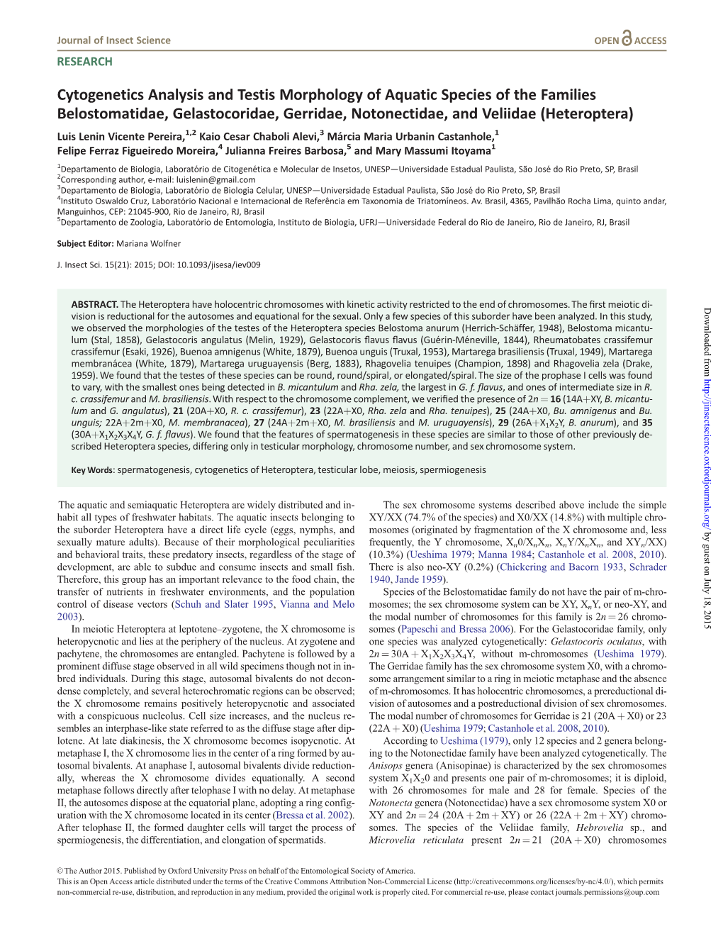 Cytogenetics Analysis and Testis Morphology of Aquatic Species Of