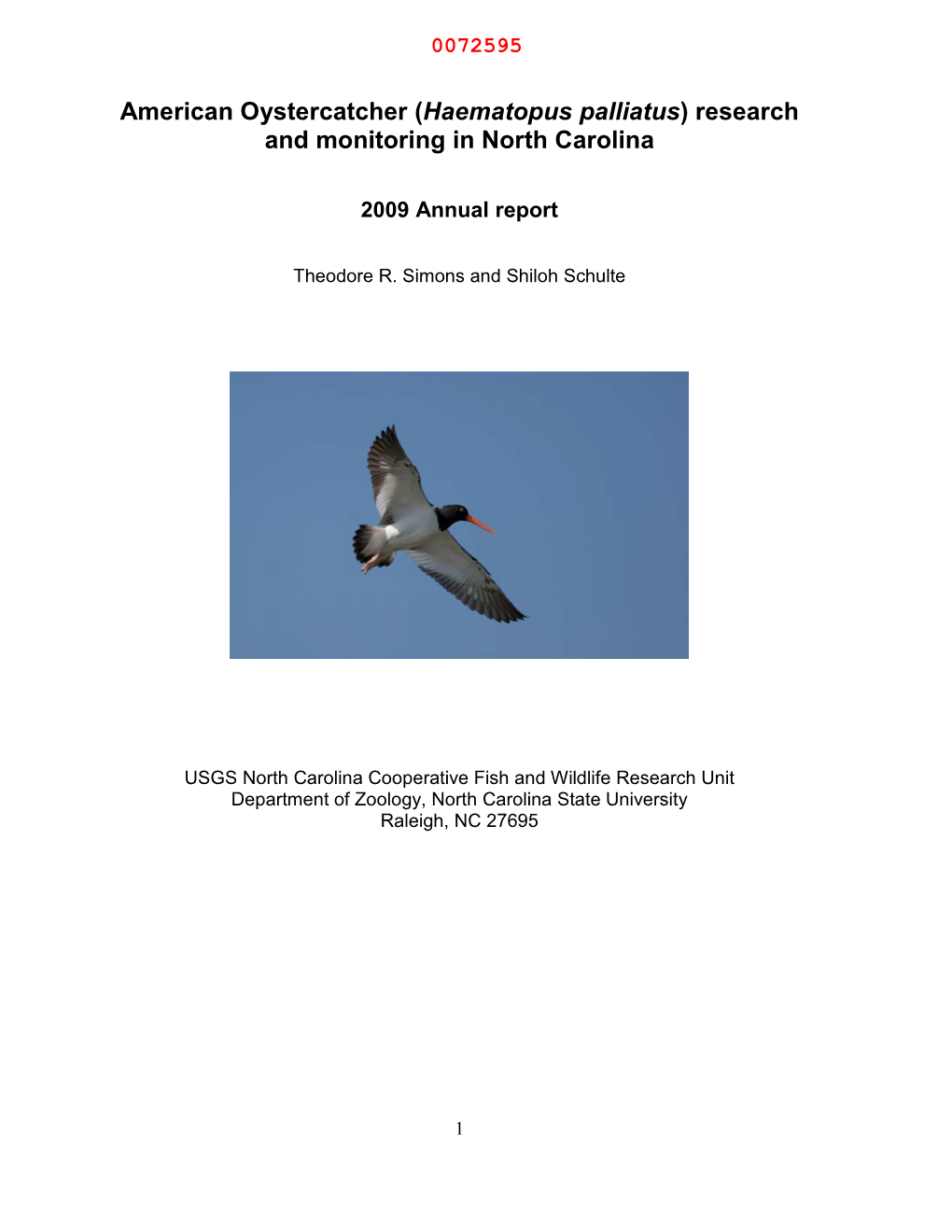 American Oystercatcher (Haematopus Palliatus) Research and Monitoring in North Carolina