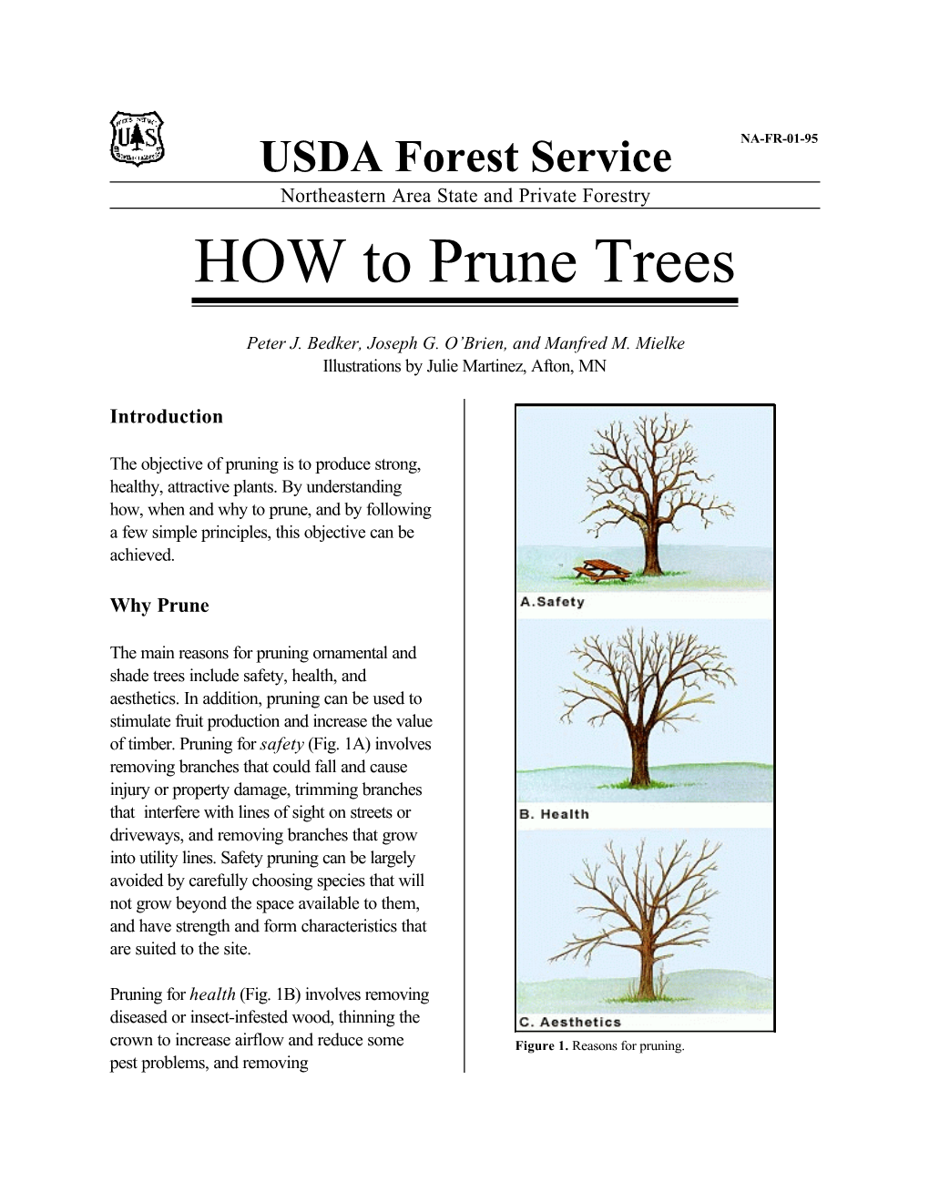 HOW to Prune Trees