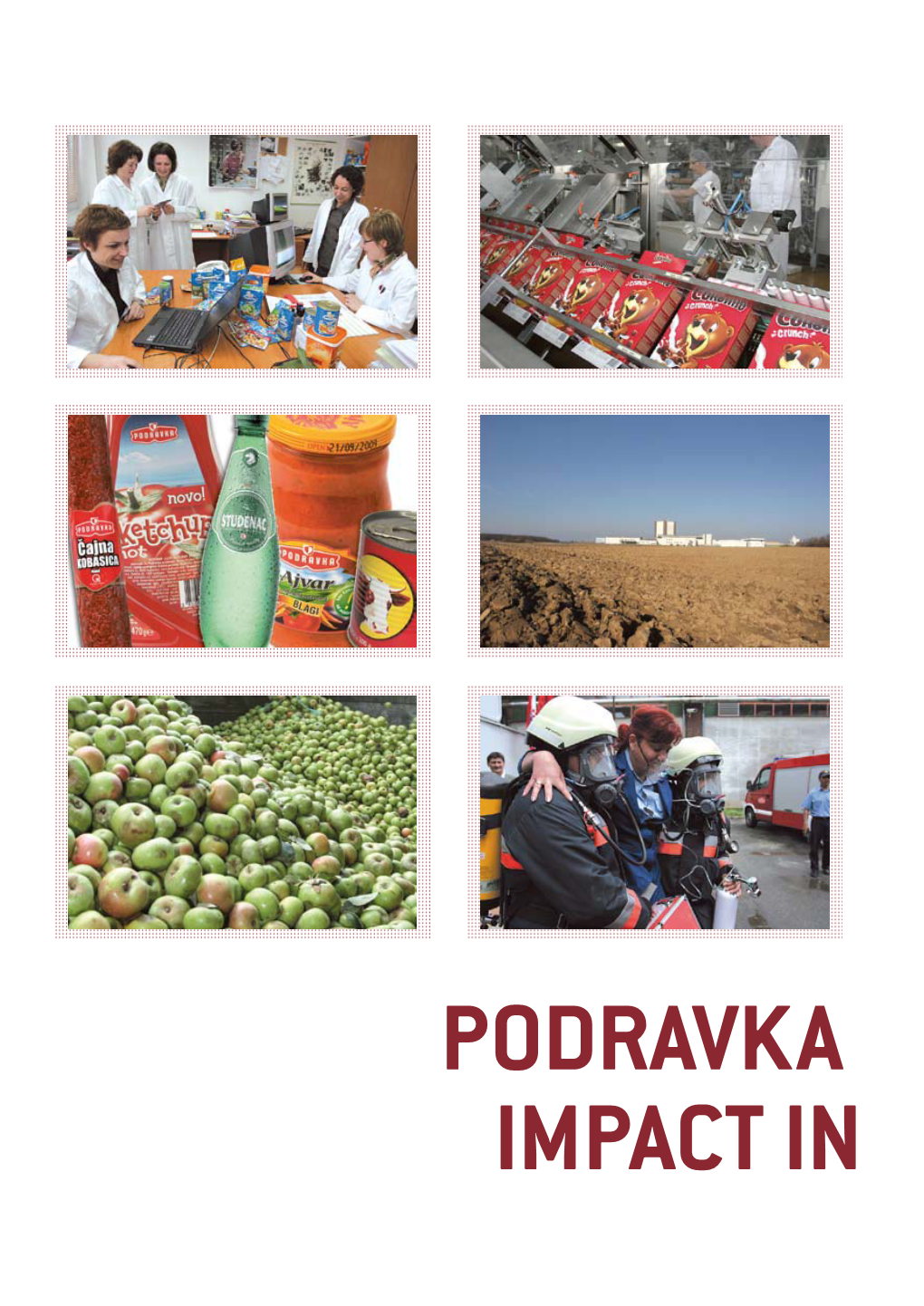 PODRAVKA IMPACT in ECONOMIC DICATORS REALIZED REVENUES Operative Costs in 2006 Increased by 1% Comparing to 2005